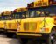 A line of school buses