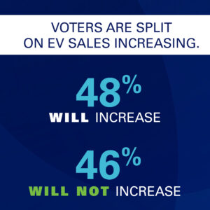 Voter Poll Fall 2024 EV Sales Increase