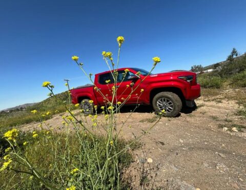 Toyota Tacoma pickup