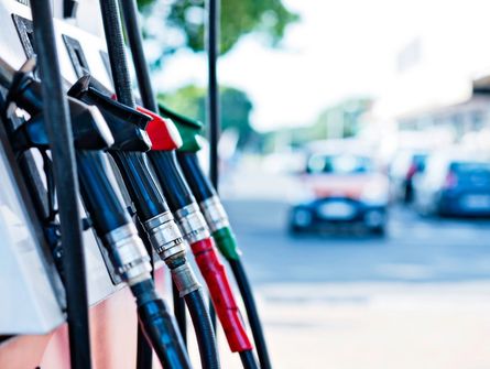 ld day at the capitol - ld photo gallery 3 (20)