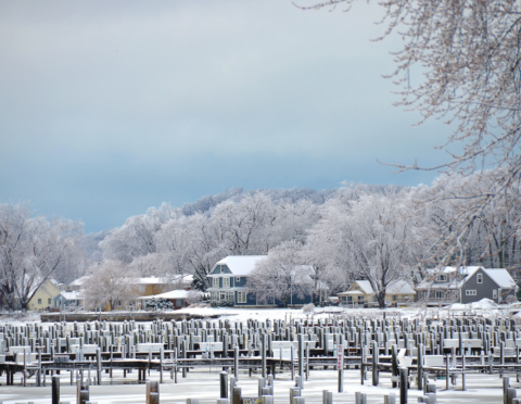 Michigan Marina in Winter